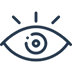 Vision